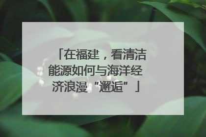 在福建，看清洁能源如何与海洋经济浪漫“邂逅”