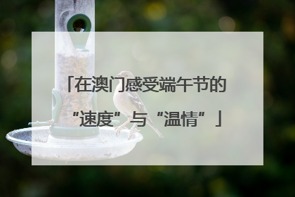 在澳门感受端午节的“速度”与“温情”