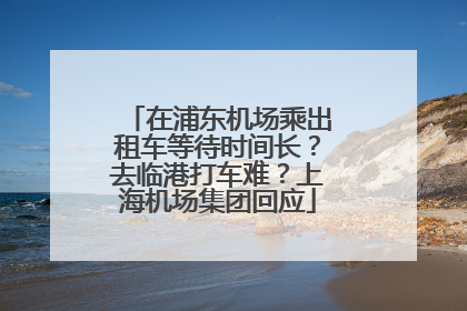 在浦东机场乘出租车等待时间长？去临港打车难？上海机场集团回应