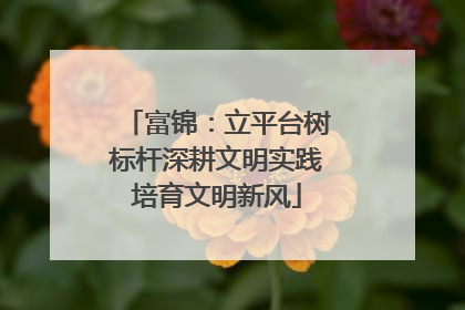 富锦：立平台树标杆深耕文明实践培育文明新风