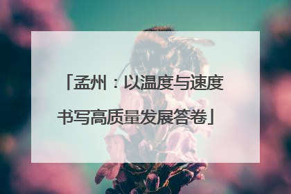 孟州：以温度与速度书写高质量发展答卷
