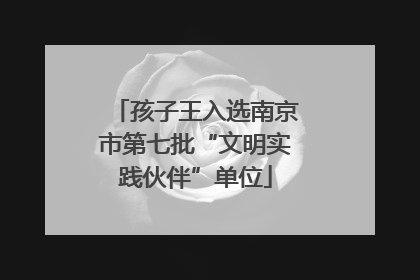 孩子王入选南京市第七批“文明实践伙伴”单位