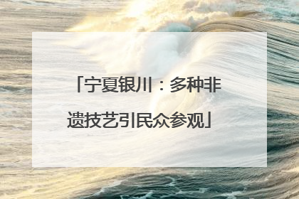 宁夏银川：多种非遗技艺引民众参观