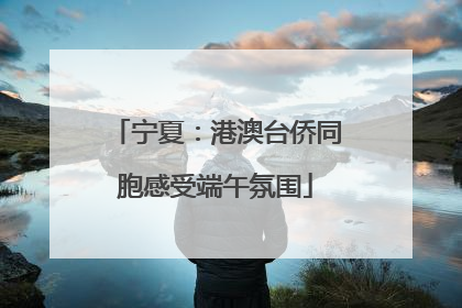 宁夏：港澳台侨同胞感受端午氛围