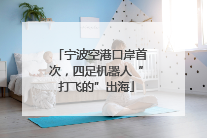 宁波空港口岸首次，四足机器人“打飞的”出海
