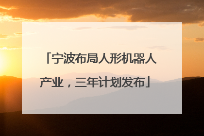 宁波布局人形机器人产业，三年计划发布