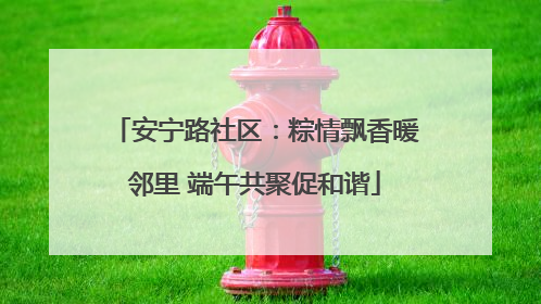 安宁路社区：粽情飘香暖邻里 端午共聚促和谐