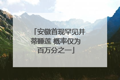 安徽首现罕见并蒂睡莲 概率仅为百万分之一