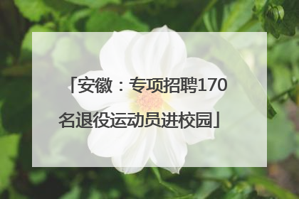 安徽：专项招聘170名退役运动员进校园