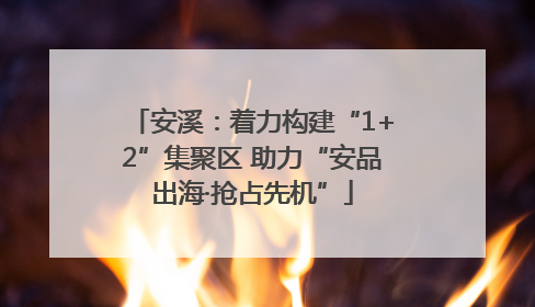 安溪：着力构建“1+2”集聚区 助力“安品出海·抢占先机”