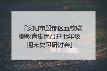 安阳市殷都区五校联盟教育集团召开七年级期末复习研讨会