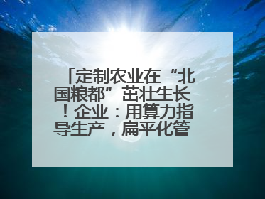 定制农业在“北国粮都”茁壮生长！企业：用算力指导生产，扁平化管理种地