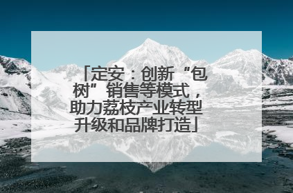 定安：创新“包树”销售等模式，助力荔枝产业转型升级和品牌打造
