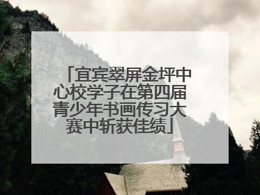 宜宾翠屏金坪中心校学子在第四届青少年书画传习大赛中斩获佳绩