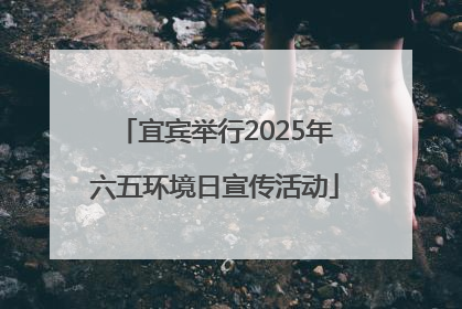 宜宾举行2025年六五环境日宣传活动