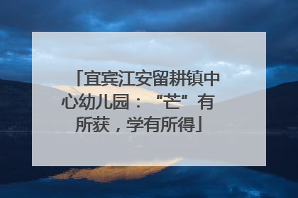 宜宾江安留耕镇中心幼儿园：“芒”有所获，学有所得