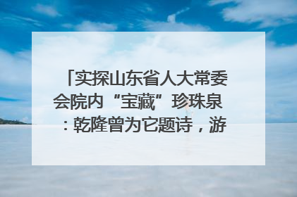 实探山东省人大常委会院内“宝藏”珍珠泉：乾隆曾为它题诗，游客无需预约免费游览