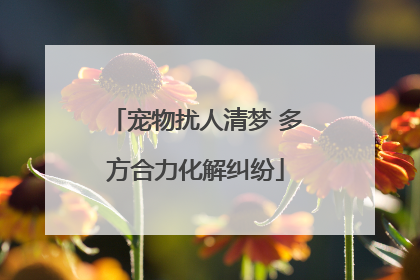 宠物扰人清梦 多方合力化解纠纷