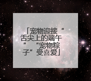 宠物迎接“舌尖上的端午” “宠物粽子”受喜爱