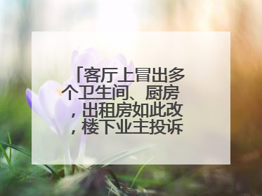 客厅上冒出多个卫生间、厨房，出租房如此改，楼下业主投诉：多少不舒服