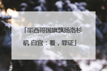 墨西哥国旗飘扬洛杉矶 白宫：看，罪证