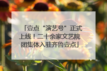 壹点“演艺号”正式上线！二十余家文艺院团集体入驻齐鲁壹点