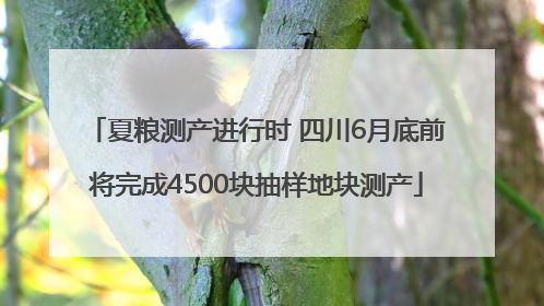 夏粮测产进行时 四川6月底前将完成4500块抽样地块测产