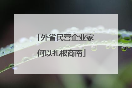 外省民营企业家何以扎根商南