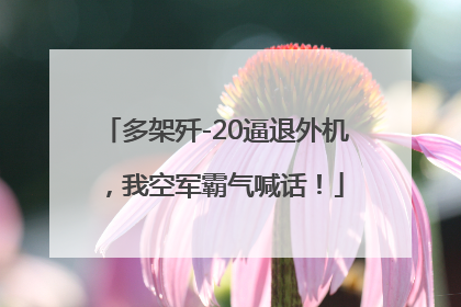 多架歼-20逼退外机，我空军霸气喊话！