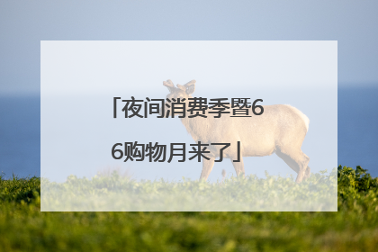 夜间消费季暨66购物月来了