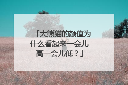 大熊猫的颜值为什么看起来一会儿高一会儿低？