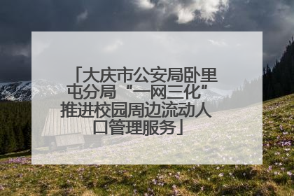 大庆市公安局卧里屯分局“一网三化”推进校园周边流动人口管理服务