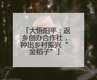 大悟阳平：返乡创办合作社，种出乡村振兴“金稻子”