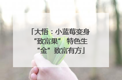 大悟：小蓝莓变身“致富果” 特色生“金”致富有方