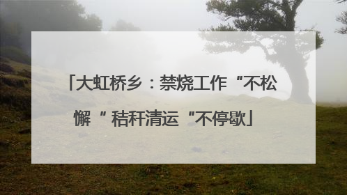 大虹桥乡：禁烧工作“不松懈“ 秸秆清运“不停歇
