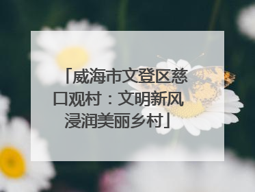 威海市文登区慈口观村：文明新风浸润美丽乡村