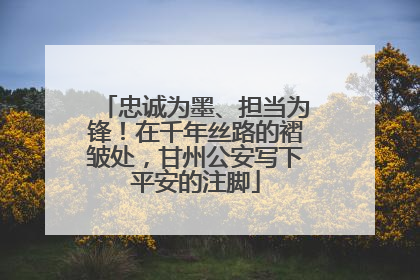 忠诚为墨、担当为锋！在千年丝路的褶皱处，甘州公安写下平安的注脚