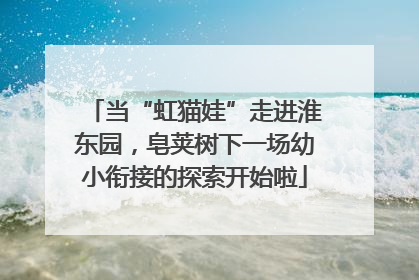 当“虹猫娃”走进淮东园，皂荚树下一场幼小衔接的探索开始啦