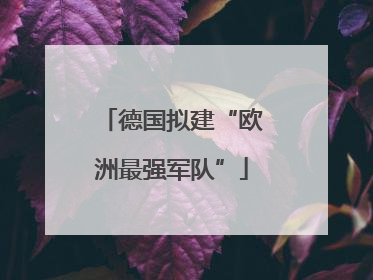德国拟建“欧洲最强军队”