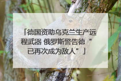 德国资助乌克兰生产远程武器 俄罗斯警告德“已再次成为敌人”