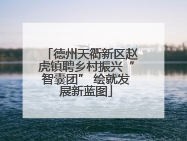 德州天衢新区赵虎镇聘乡村振兴“智囊团” 绘就发展新蓝图