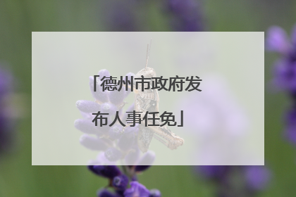 德州市政府发布人事任免