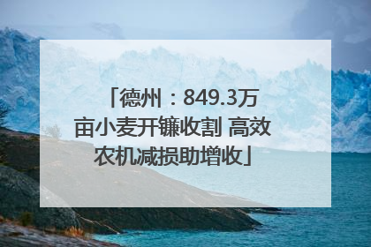 德州：849.3万亩小麦开镰收割 高效农机减损助增收