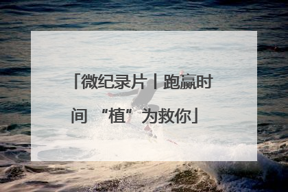 微纪录片丨跑赢时间 “植”为救你