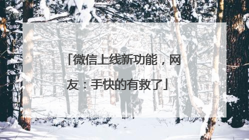 微信上线新功能，网友：手快的有救了