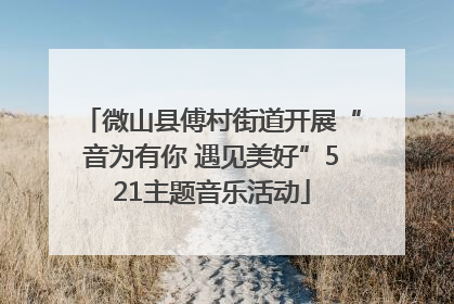 微山县傅村街道开展“音为有你 遇见美好”521主题音乐活动