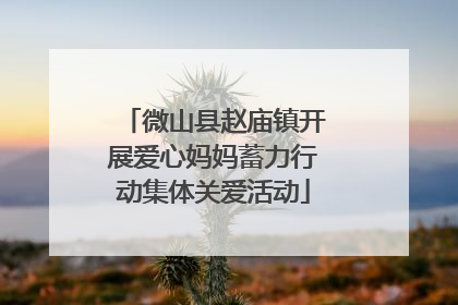 微山县赵庙镇开展爱心妈妈蓄力行动集体关爱活动