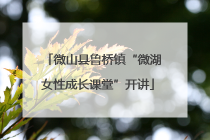 微山县鲁桥镇“微湖女性成长课堂”开讲