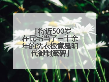 将近500岁 在民宅当了三十余年的洗衣板竟是明代御制箴碑