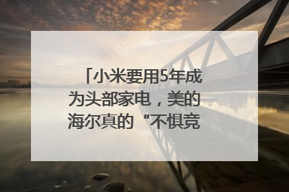 小米要用5年成为头部家电，美的海尔真的“不惧竞争”？｜热财经